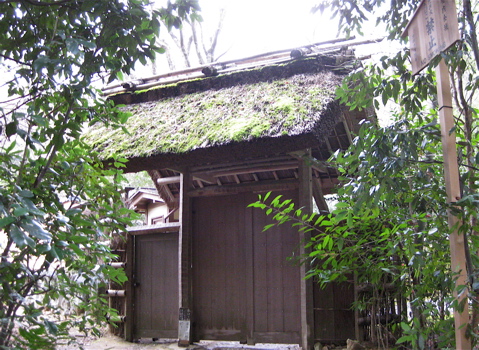 a0164011_2147053.jpg