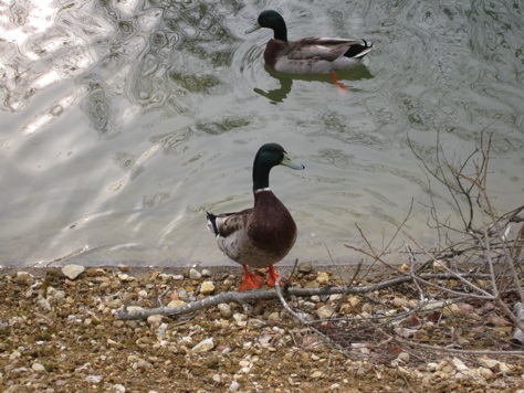 a0164011_21471658.jpg