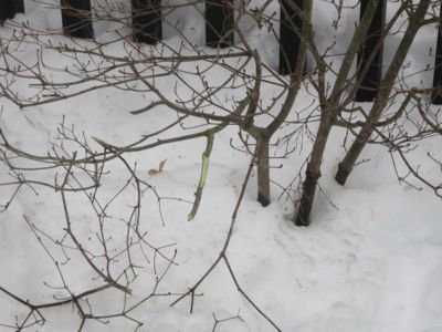e0192217_13500870.jpg