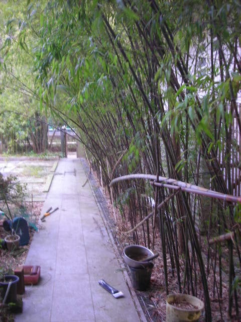 b0096418_2301558.jpg