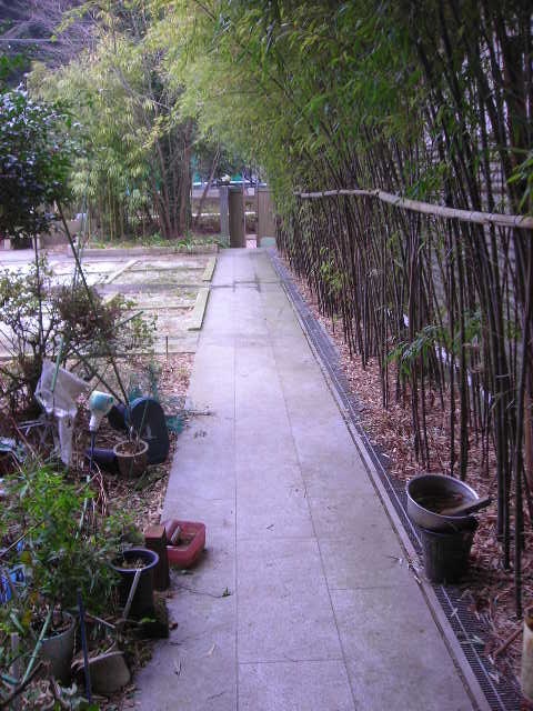 b0096418_2305111.jpg