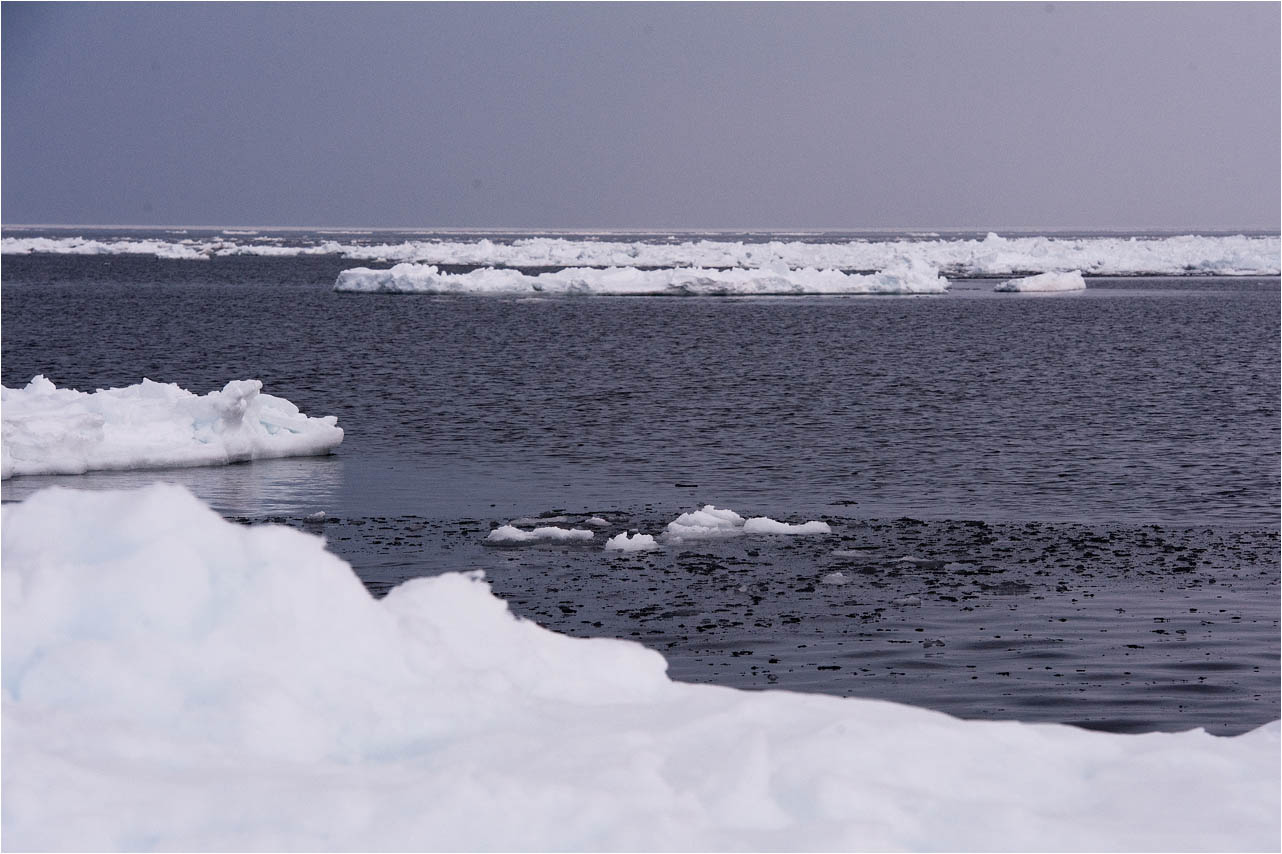 a0245331_14313964.jpg