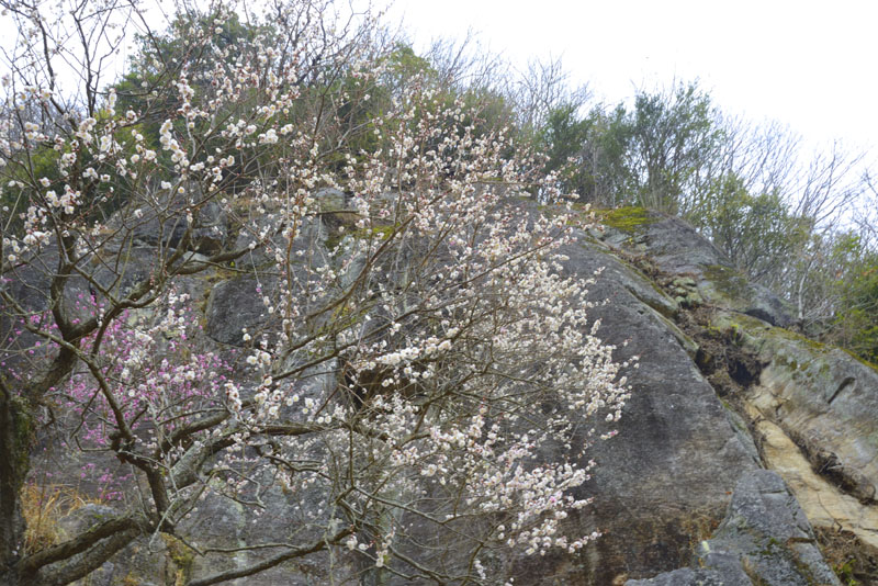 b0042837_2121799.jpg