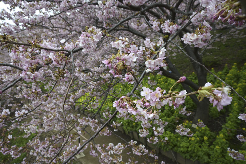 b0042837_2173548.jpg