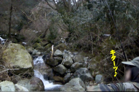 a0056140_17291541.gif