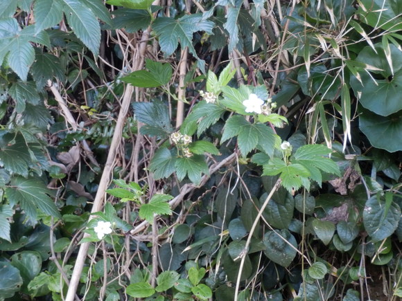 e0292172_211306.jpg