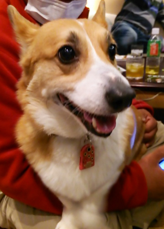 f0000673_1301464.jpg