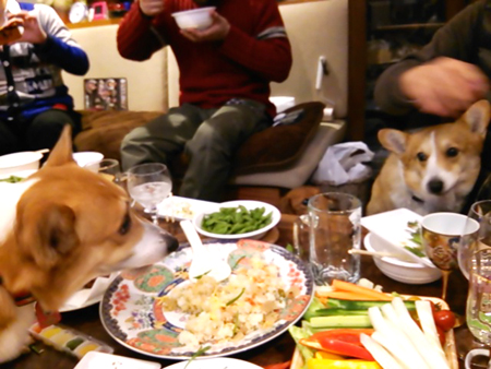 f0000673_1303669.jpg