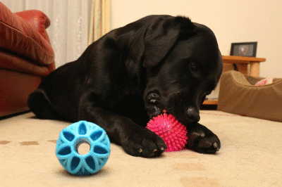 f0037378_22501997.gif