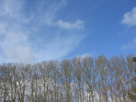 a0247585_619070.jpg