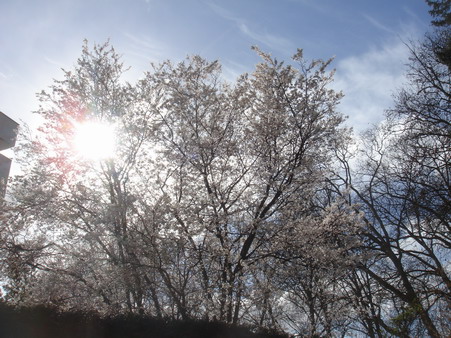 a0247585_6484538.jpg