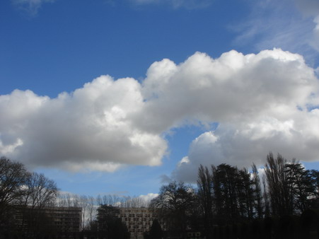 a0247585_6515052.jpg
