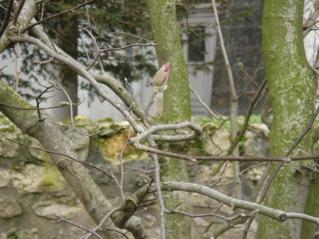 a0247585_7144018.jpg
