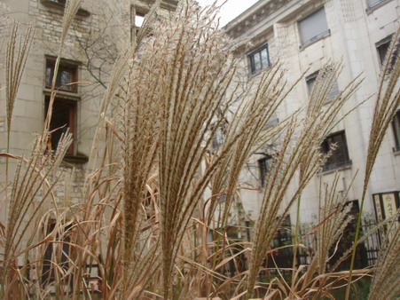 a0247585_7232329.jpg