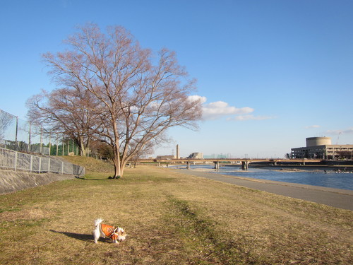a0251786_20502317.jpg