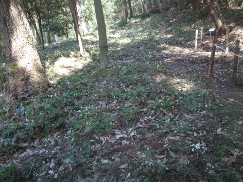 e0271890_21241406.png