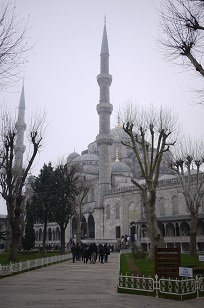 f0226293_1671730.jpg