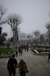 f0226293_169272.jpg