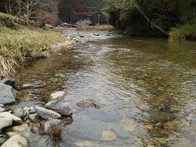 c0118495_22231312.jpg