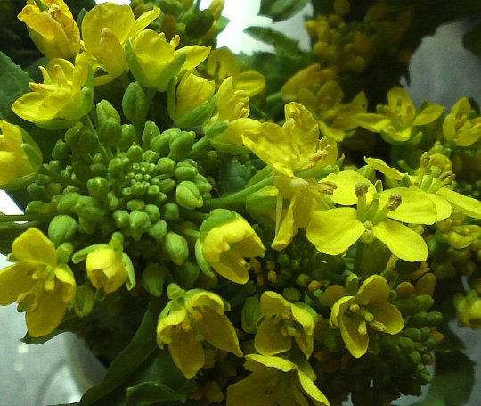 a0031000_18382799.jpg