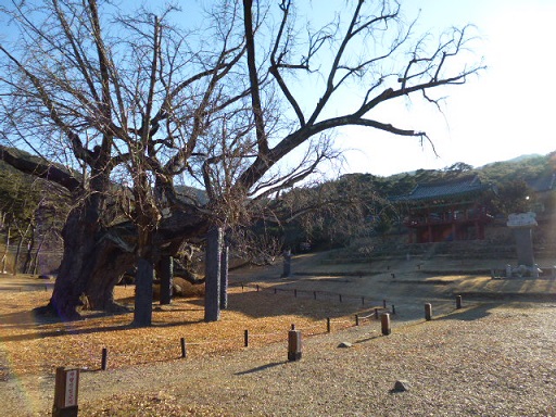 a0140305_014713.jpg