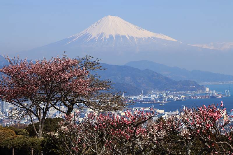 a0188405_21364530.jpg