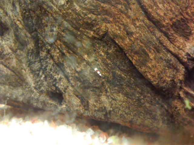 a0291521_18414962.jpg