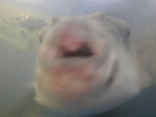 c0311729_15460717.jpg