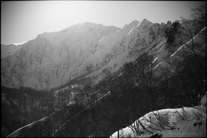 c0189533_7291627.jpg