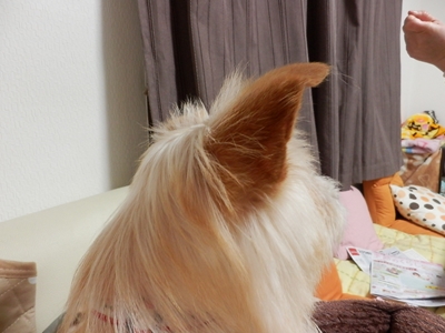 d0169340_0173117.jpg
