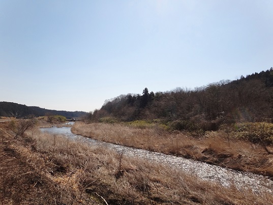 e0119840_2155020.jpg
