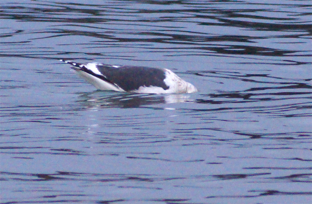 f0214649_5402661.jpg