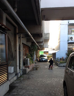 b0069562_1446874.jpg
