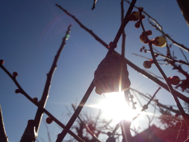 a0243983_8162316.jpg