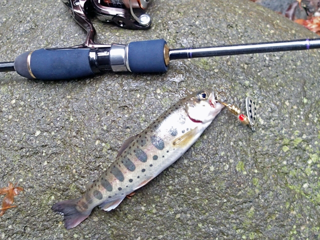 e0052088_9582037.jpg