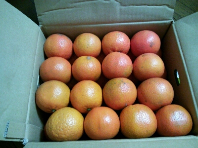 f0046614_21565014.jpg