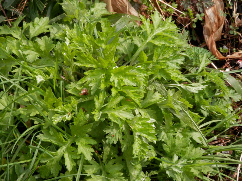 a0125419_11344693.jpg