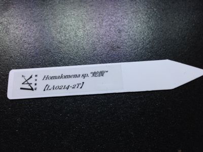 c0256325_7285622.jpg