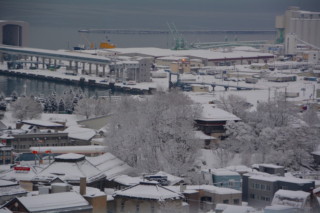 d0109428_901960.jpg