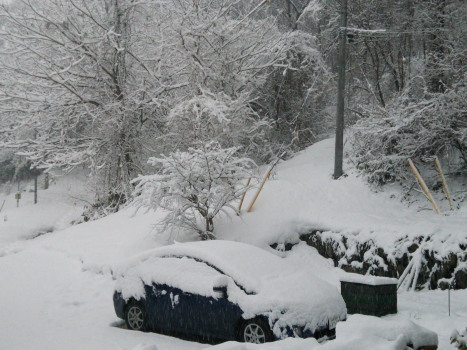 b0077929_09095644.jpg