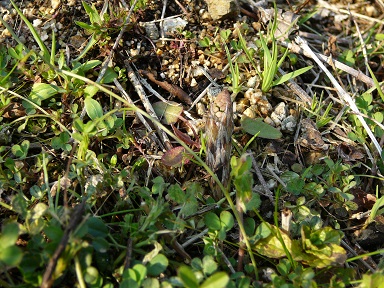f0131641_23193298.jpg