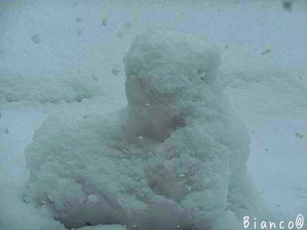 d0118050_17173080.jpg