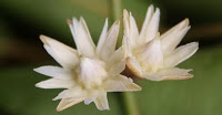a0203553_010757.jpg