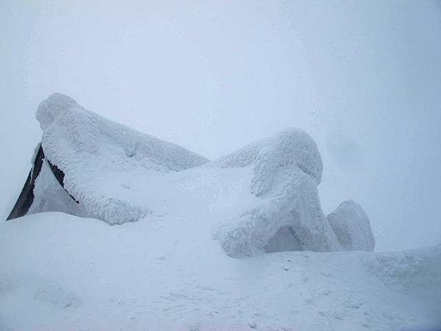 c0116856_20354110.jpg
