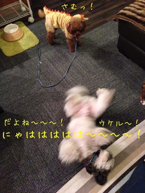 f0177261_0183542.jpg