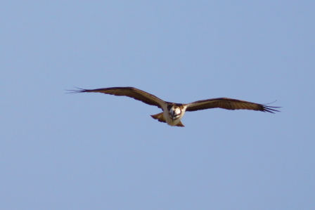 e0303064_22434679.jpg