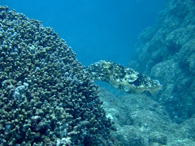 b0033573_21525585.jpg