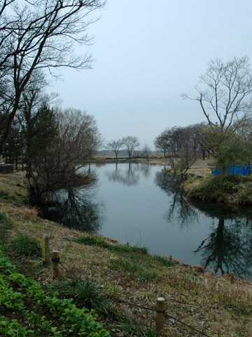 c0289473_1237334.jpg