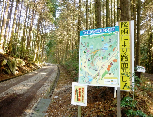 d0126573_1315721.jpg