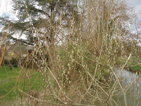 a0247585_5123569.jpg